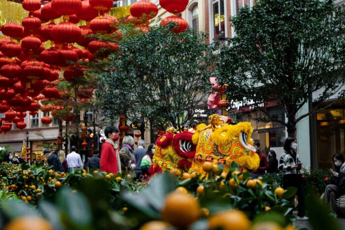 Chinese New Year Lion Dance